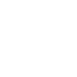 ce logo Springfield